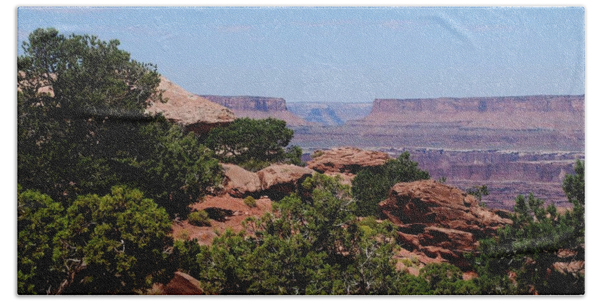 Canyonlands Hand Towel featuring the photograph By the Canyon #3 by Dany Lison