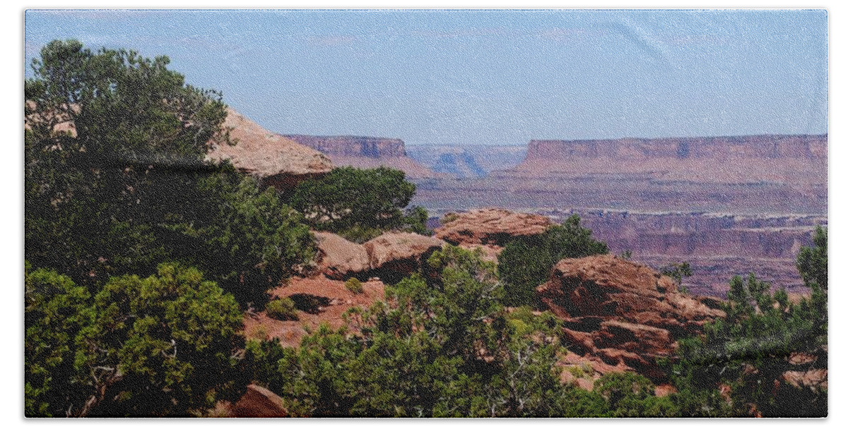 Canyonlands Bath Towel featuring the photograph By the Canyon #3 by Dany Lison