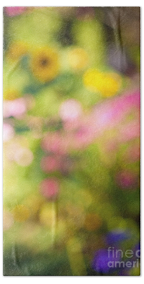 Flower Hand Towel featuring the photograph Flower garden in sunshine 4 by Elena Elisseeva