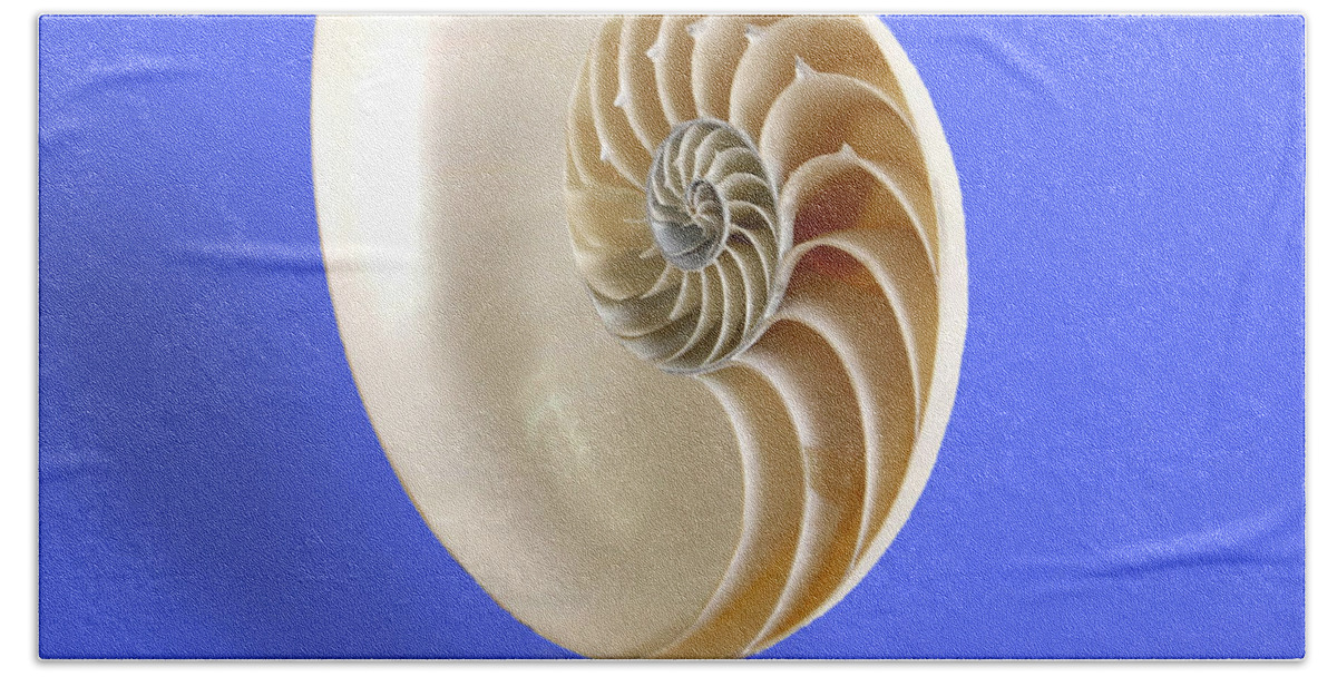 Nature Bath Towel featuring the photograph Logarithmic Spiral #4 by Photo Researchers, Inc.