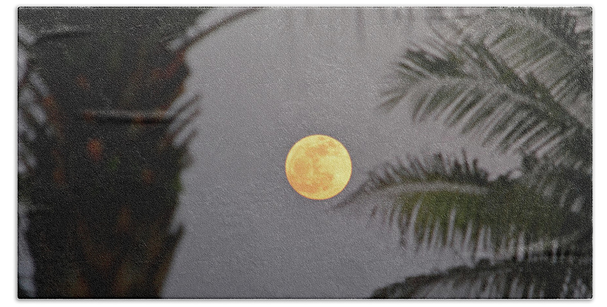 Full Moon Bath Towel featuring the photograph 5- Tropical Moon by Joseph Keane