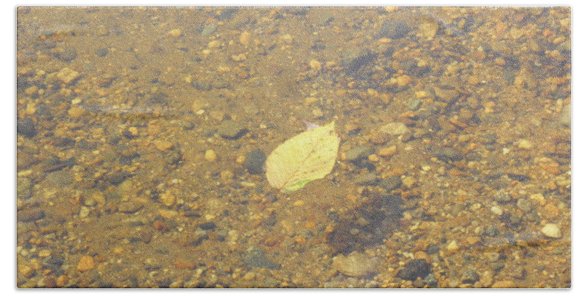 Leaf Bath Towel featuring the photograph A Lonely Floater by Kim Galluzzo Wozniak