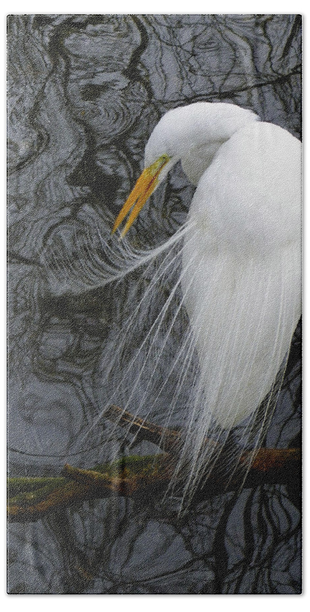 Bird Bath Towel featuring the photograph A Thing of Beauty by Judy Wanamaker