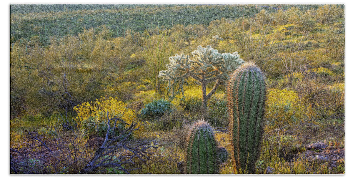 00175226 Bath Towel featuring the photograph Ajo Mountains Organ Pipe Cactus by Tim Fitzharris