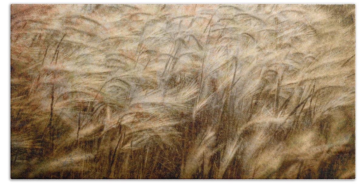 Art Bath Sheet featuring the photograph Amber Waves of Grain by Randall Nyhof