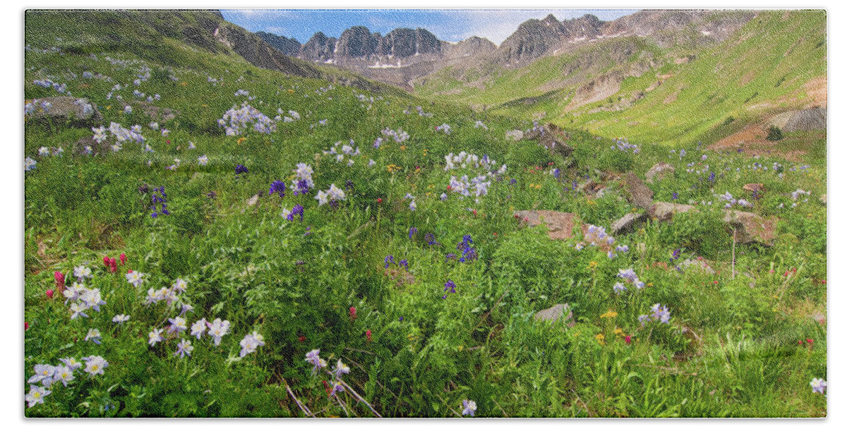 Colorado Hand Towel featuring the photograph American Basin Wildflowers by Steve Stuller