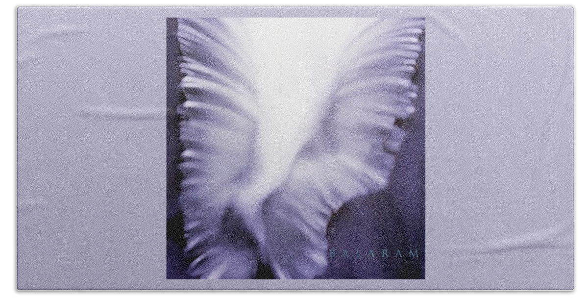 Fasntasy Bath Towel featuring the digital art Angel Wings by Richard Laeton