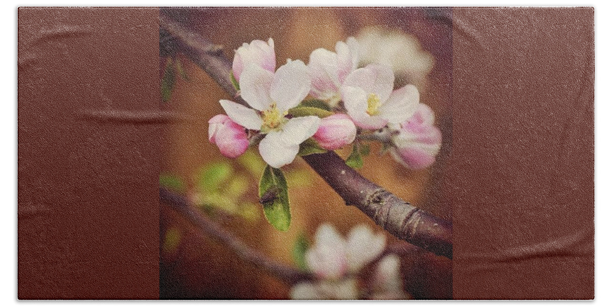 Tagstagram Bath Towel featuring the photograph Apple Blossom by Silva Halo