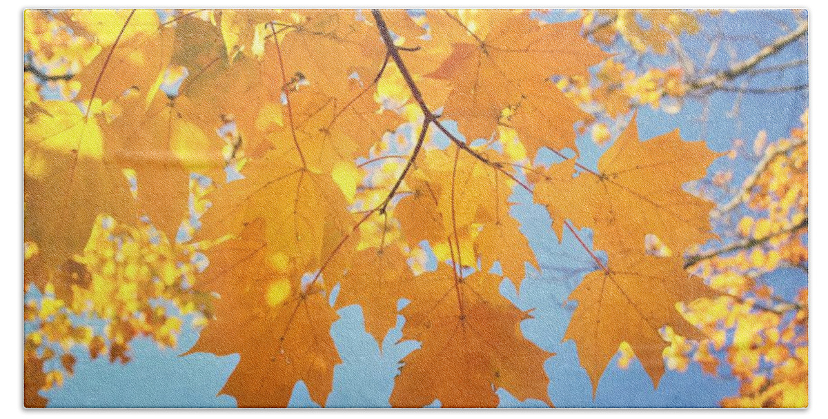 Autumn Bath Sheet featuring the photograph Autumn Colors by Kim Hojnacki