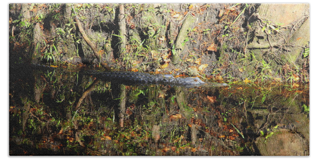 Gator Bath Sheet featuring the photograph Autumn Gator by Carol Groenen