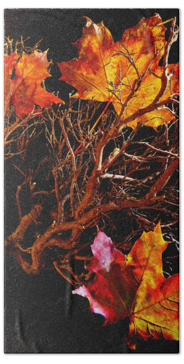 Autumn Hand Towel featuring the photograph Autumnal Feelings by B Cash