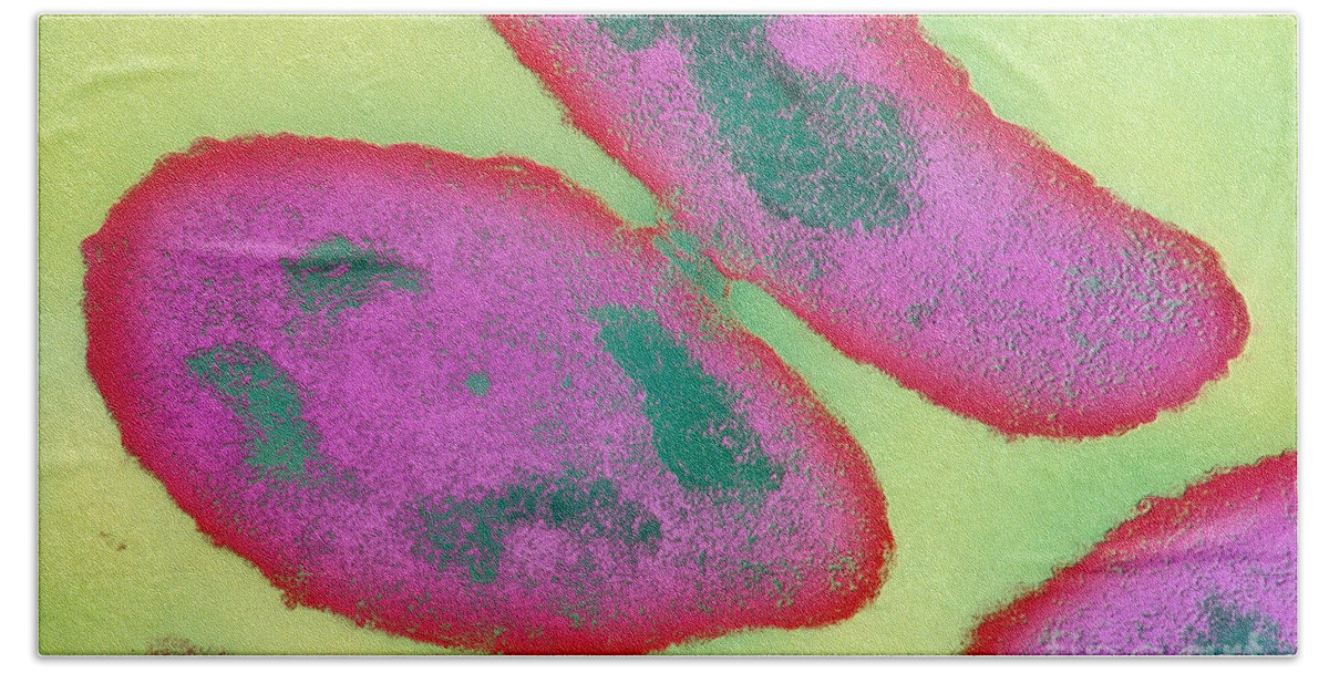 Science Hand Towel featuring the photograph Bacteria Reproducing by Omikron