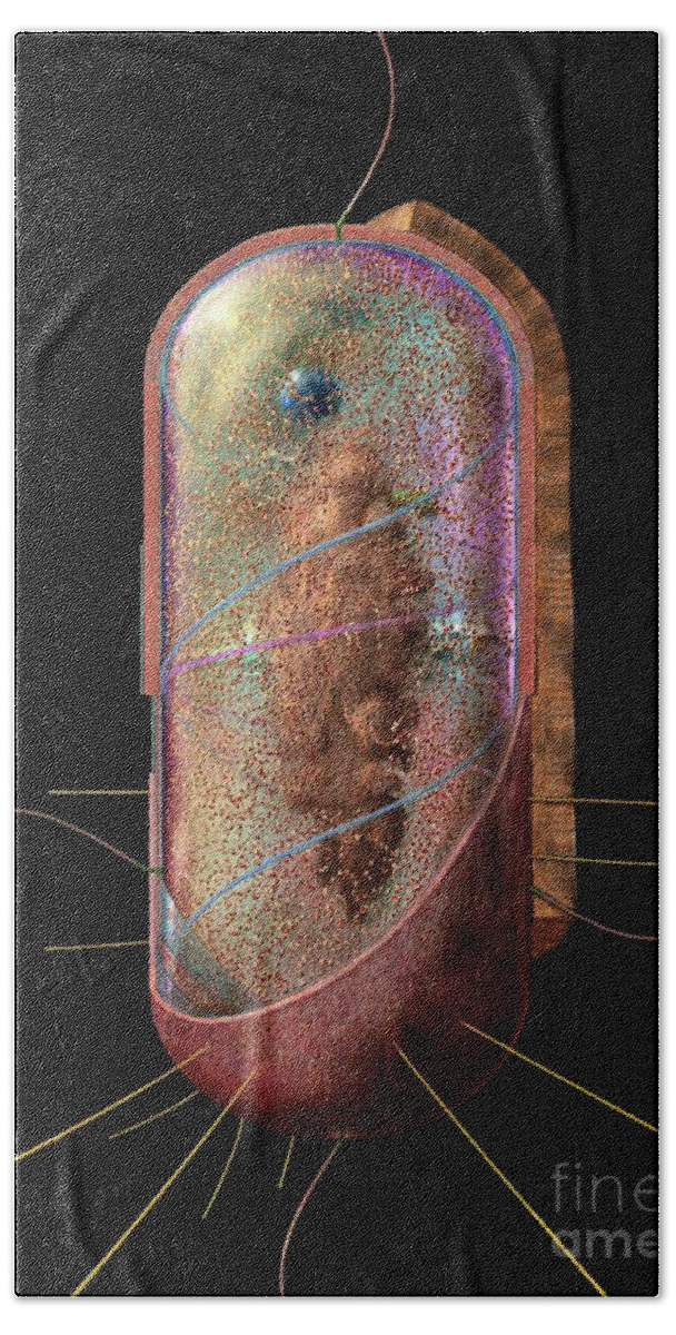 Bacillus Hand Towel featuring the digital art Bacterial Cell Generalised by Russell Kightley