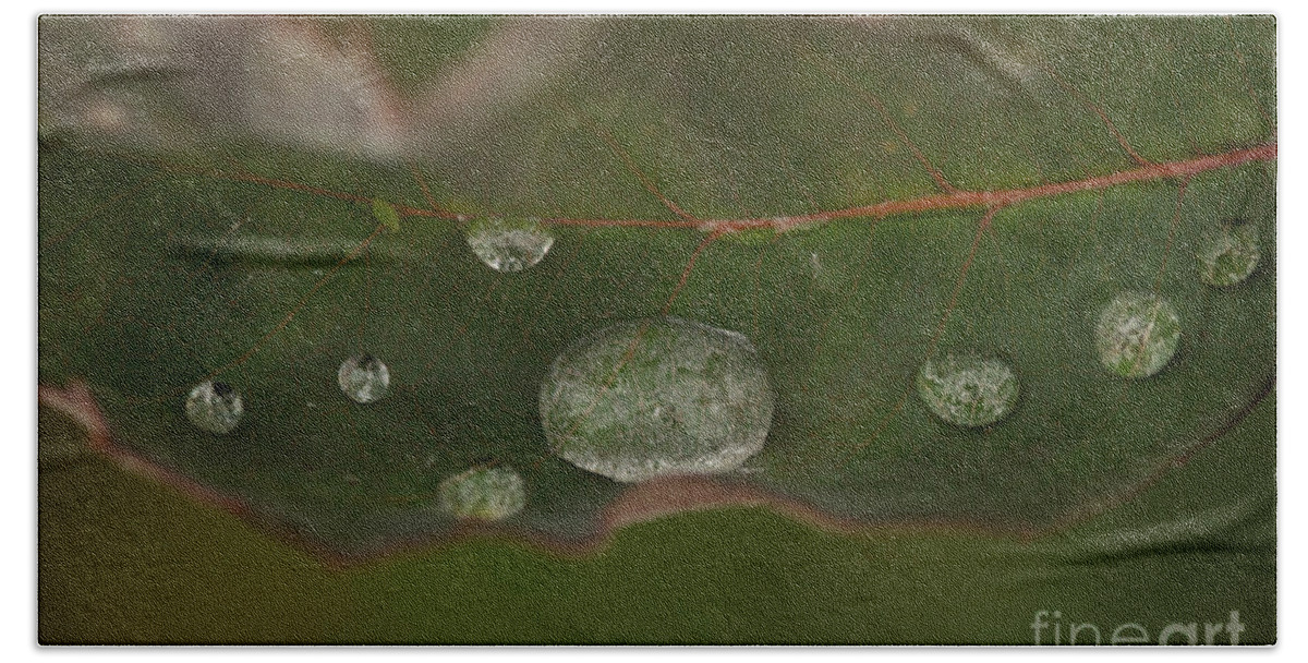 Water Droplet Hand Towel featuring the photograph Beads of Water by Brooke Roby