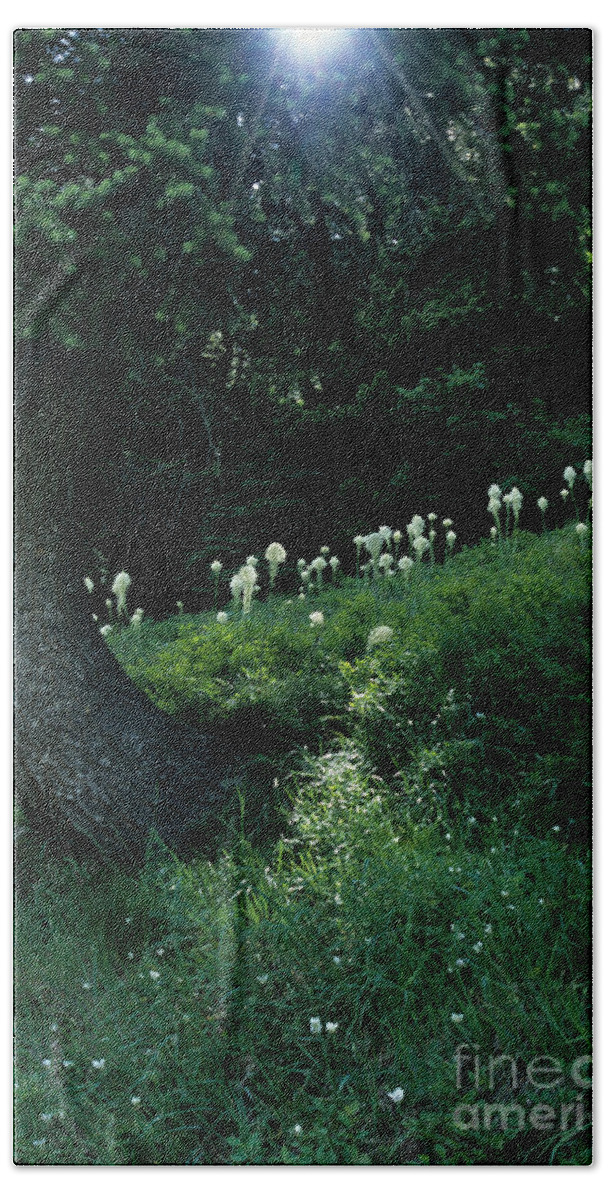 Bear-grass Hand Towel featuring the photograph Bear-grass Ridge II by Sharon Elliott
