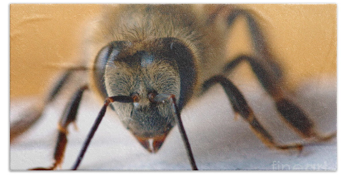 Bee Hand Towel featuring the photograph Bee in Macro 4 by Micah May