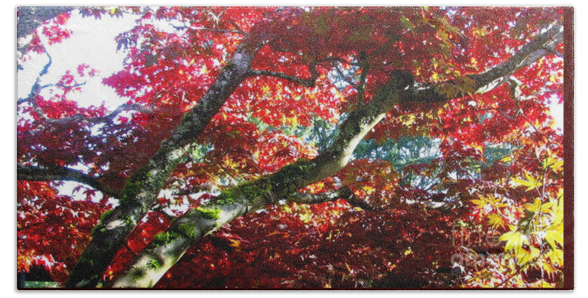 Japanese Red Maple Tree Bath Towel featuring the photograph Beneath Your Glory by Rory Siegel
