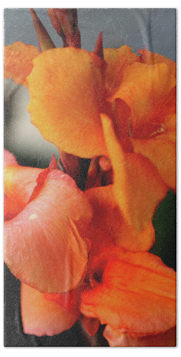 Orange Flower Hand Towel featuring the photograph Big Orange Flower by Lorraine Devon Wilke