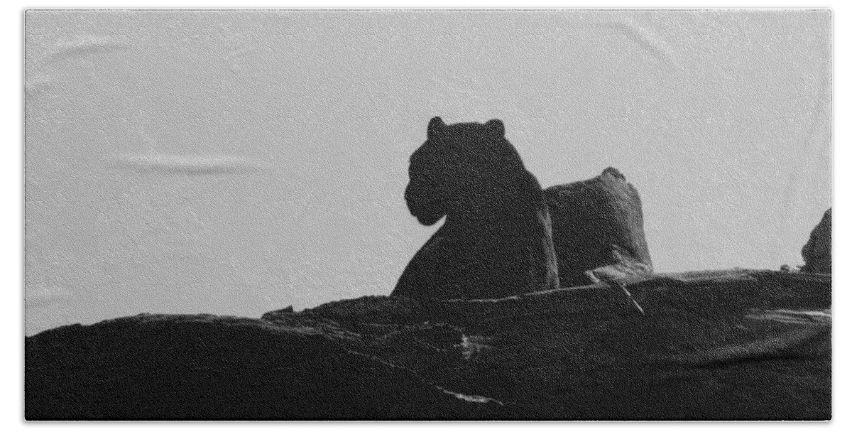 Black Bath Towel featuring the photograph Black Jaguar by Kim Galluzzo