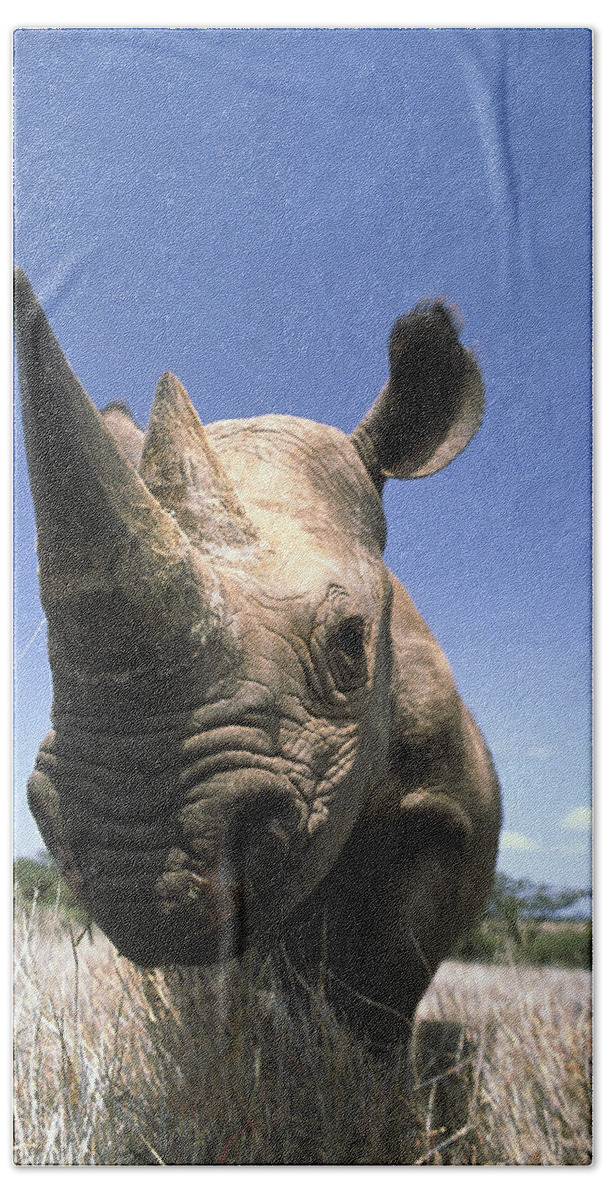 Mp Bath Towel featuring the photograph Black Rhinoceros Diceros Bicornis by Gerry Ellis