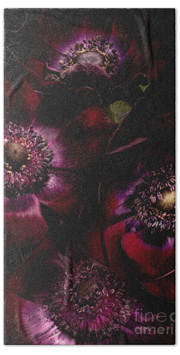 Anemone Bath Towel featuring the photograph Blood Red Anemones by Ann Garrett