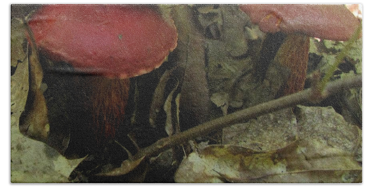 Fungus Hand Towel featuring the photograph Blood Red Russula by Donna Brown