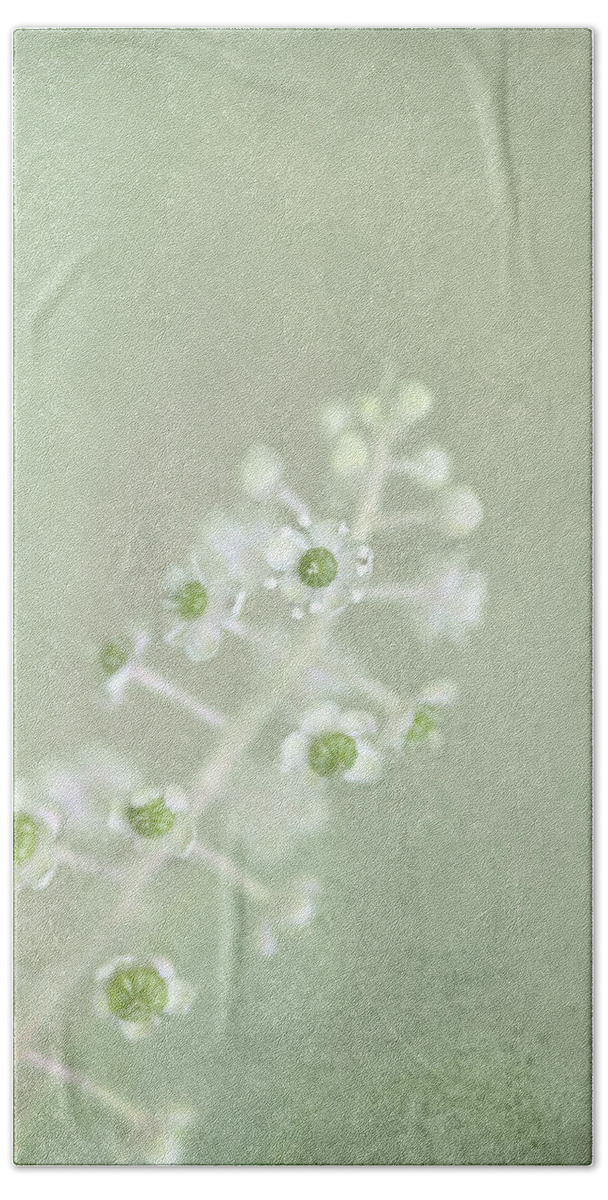 Blossom Hand Towel featuring the photograph Blossoms Unfolding by Evelina Kremsdorf