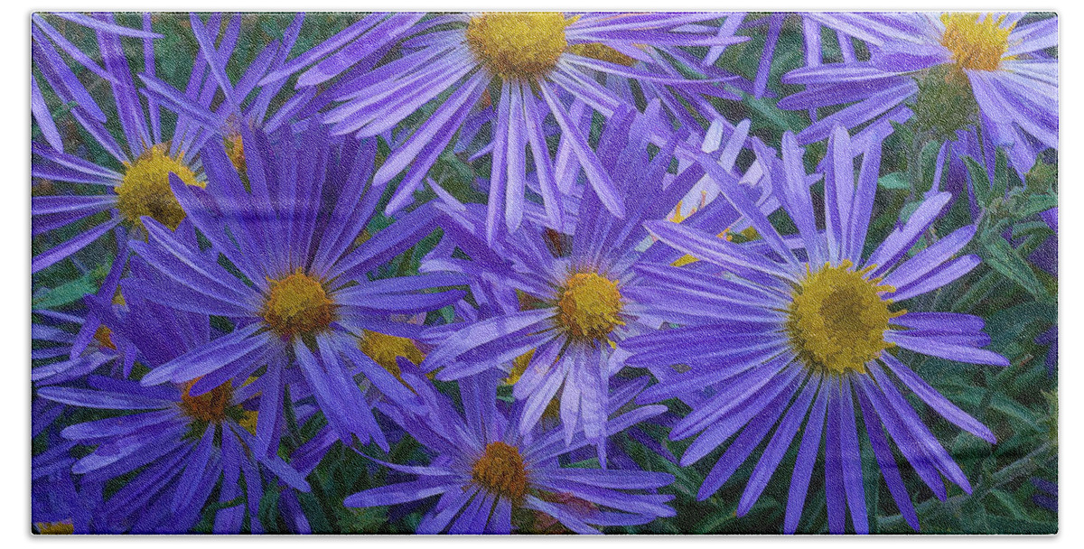  Blue Hand Towel featuring the digital art Blue Asters by Charles Muhle