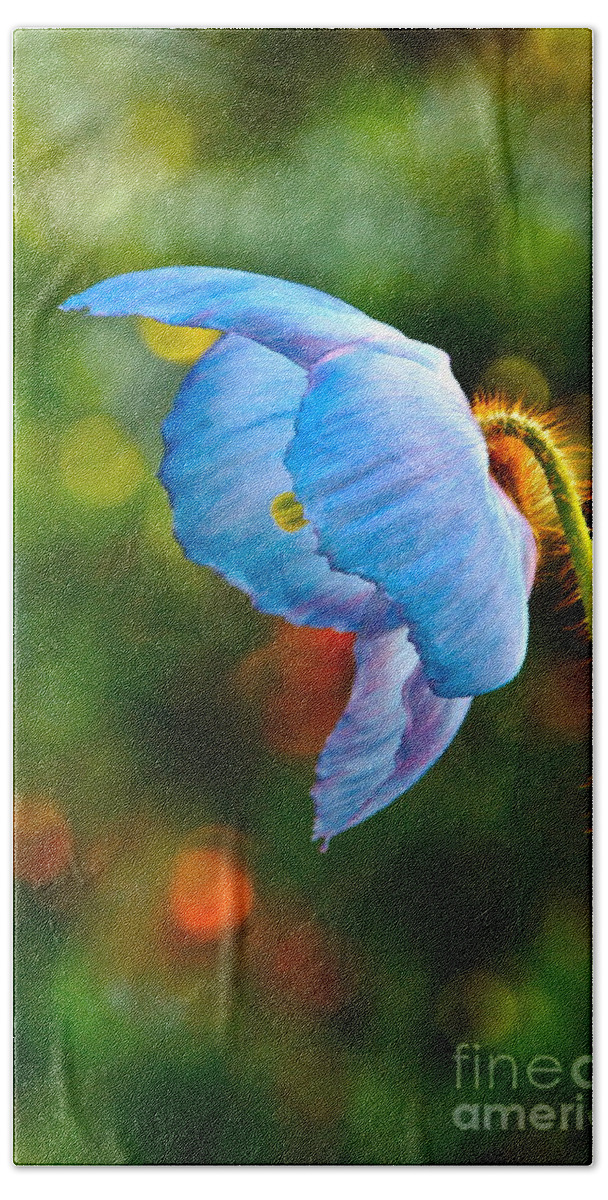 Himalayan Bath Sheet featuring the photograph Blue Poppy Dreams by Byron Varvarigos