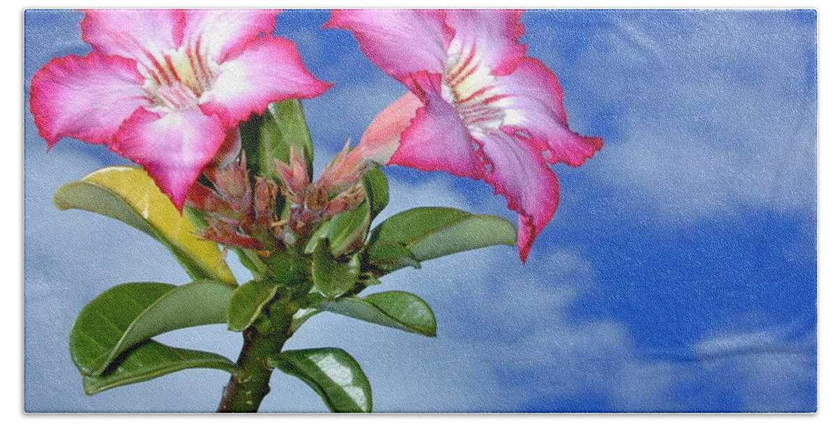 Flw Bath Towel featuring the photograph Blue Sky Pink Flower by Mark Gilman