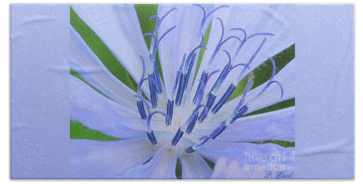 Close Up Hand Towel featuring the photograph Blue Wild Flower by Paul Ward
