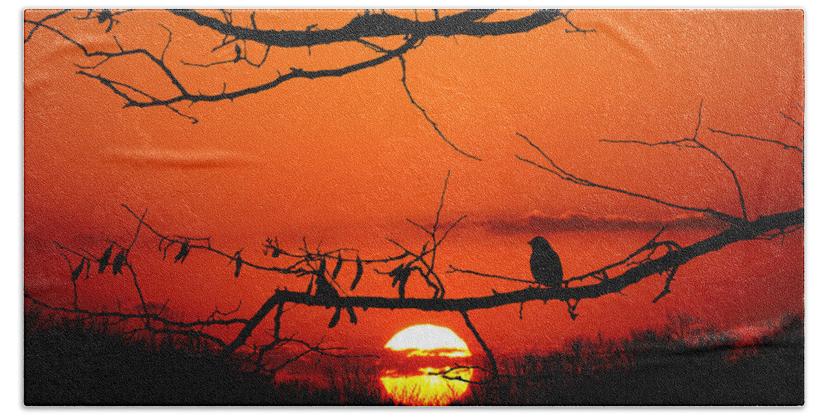 Wisconsin Hand Towel featuring the photograph Bluebird Dawn by Bill Pevlor