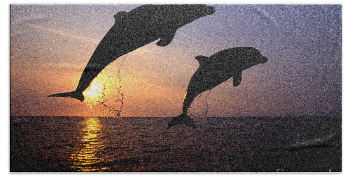 Cetacean Bath Towel featuring the photograph Bottlenose Dolphins by Francois Gohier and Photo Researchers
