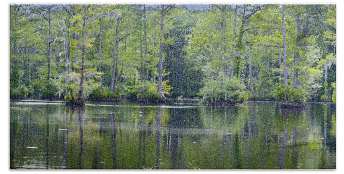 Trees Bath Towel featuring the photograph Brock Mill Pond by Rob Hemphill