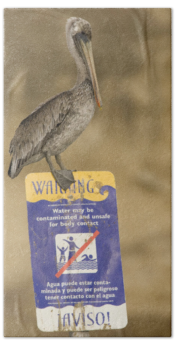 00429766 Bath Towel featuring the photograph Brown Pelican On Contaminated Water by Sebastian Kennerknecht