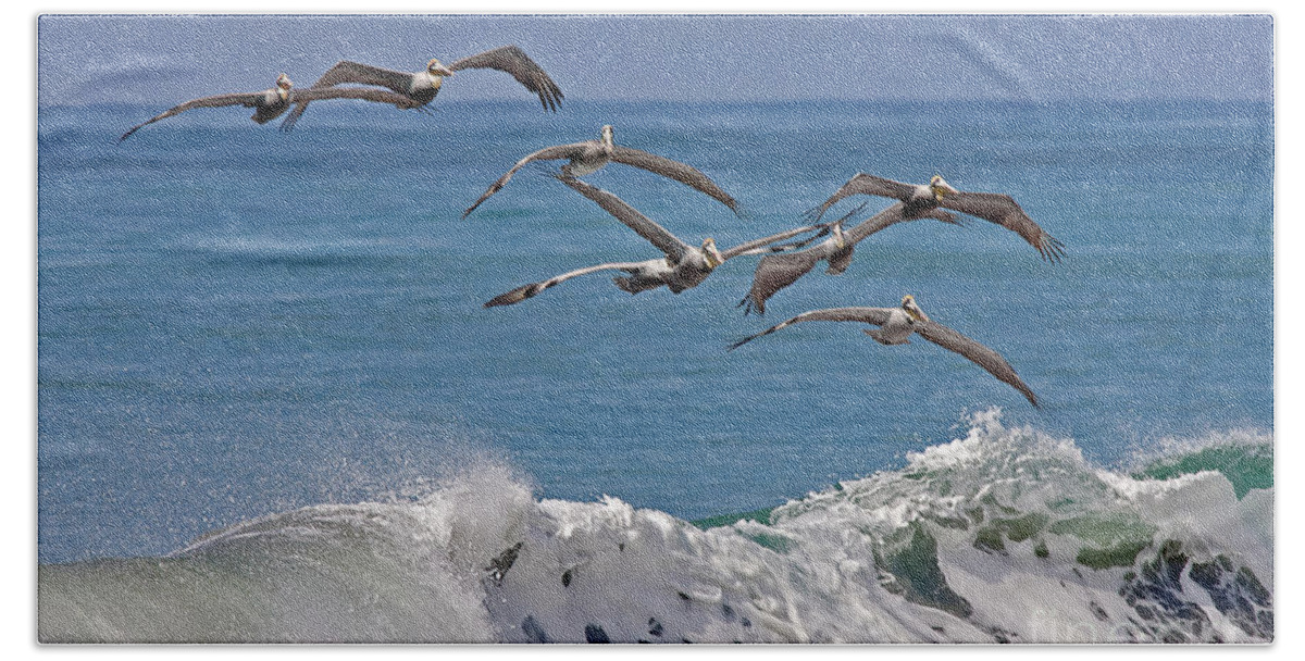 Birds Bath Towel featuring the photograph Brown Pelicans by Jean-Luc Baron