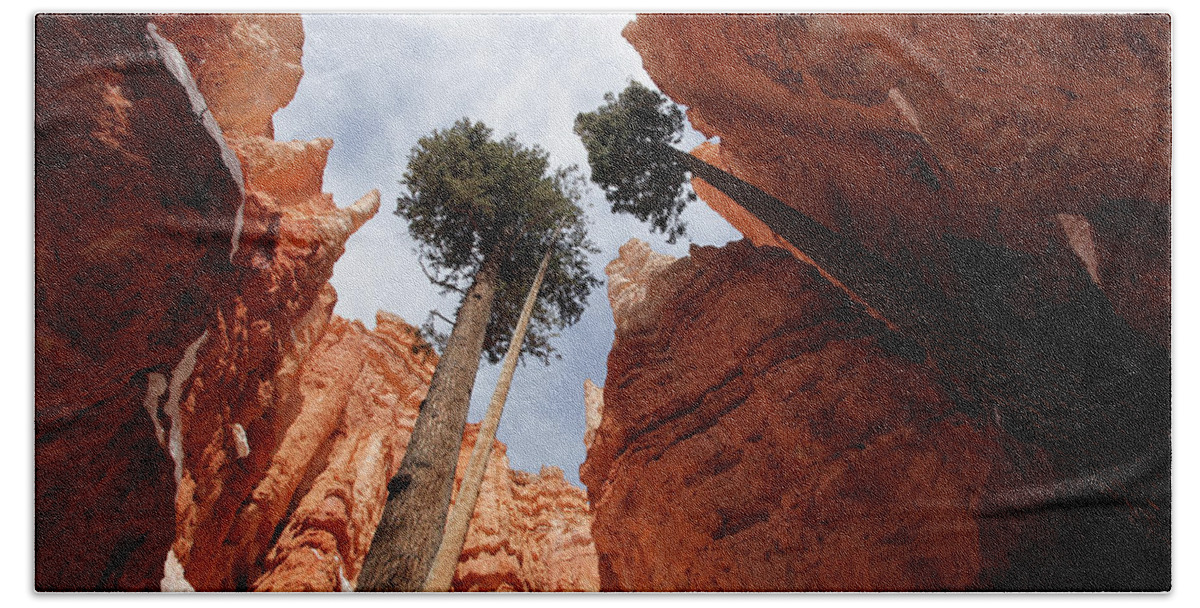America Bath Towel featuring the photograph Bryce Canyon Towering Hoodoos by Karen Lee Ensley