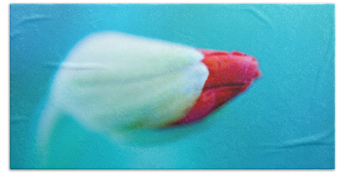 Bud Bath Towel featuring the photograph Bud of Red in Aquamarine by Marie Jamieson