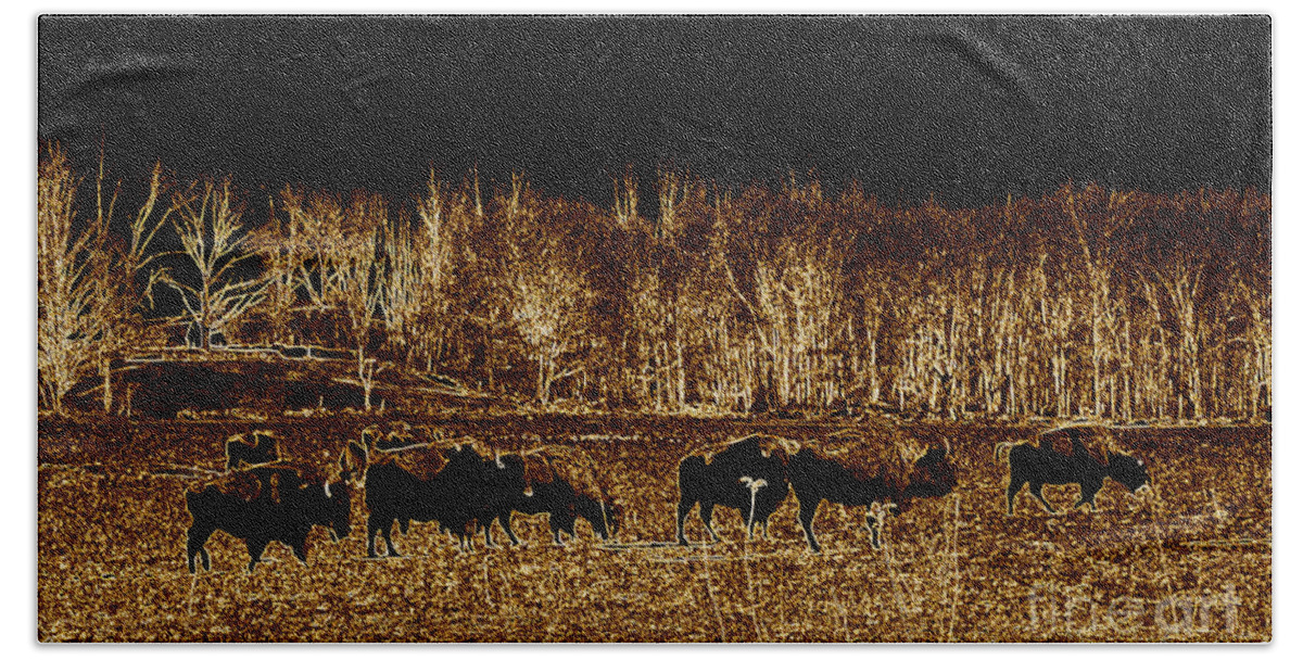 Buffalo Bath Towel featuring the photograph Buffalos roaming by Kim Galluzzo Wozniak
