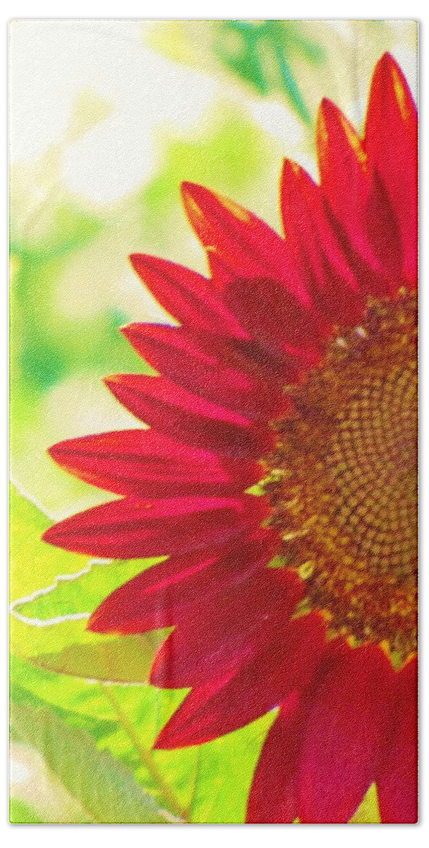 Sunflower Bath Towel featuring the photograph Burgundy Sunflower by Life Inspired Art and Decor