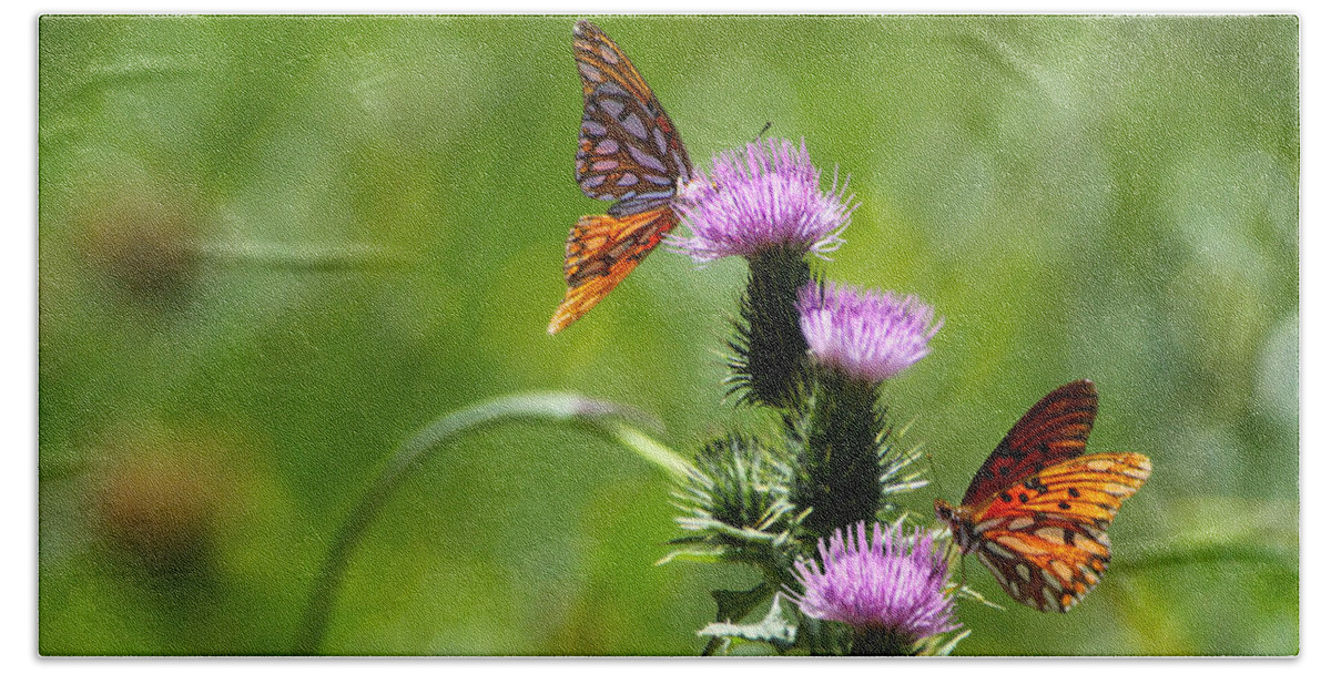 Butterflies Bath Towel featuring the photograph Butterflies on Thistles by Diana Haronis