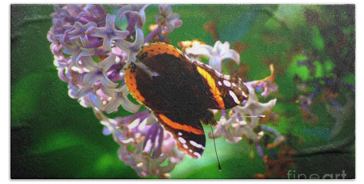 Brown Bath Towel featuring the photograph Butterfly on Lilac by Kevin Fortier