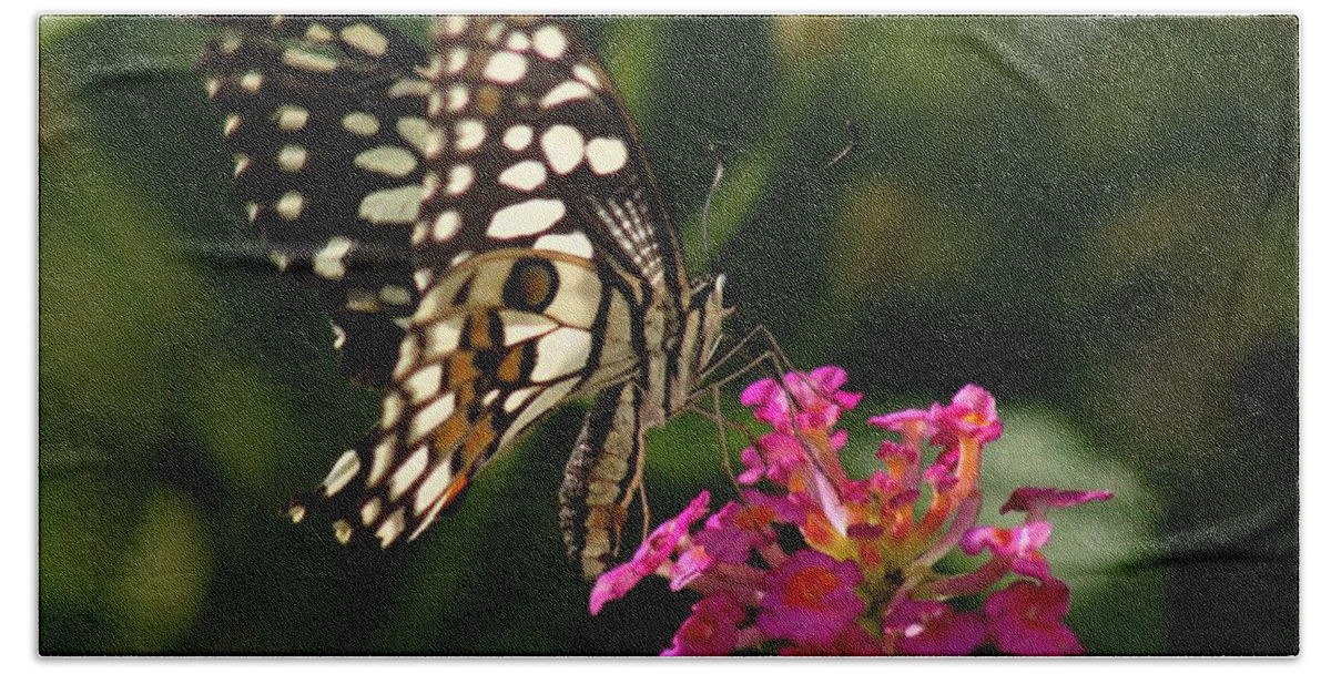 Butterfly Bath Towel featuring the photograph Butterfly by Ramabhadran Thirupattur