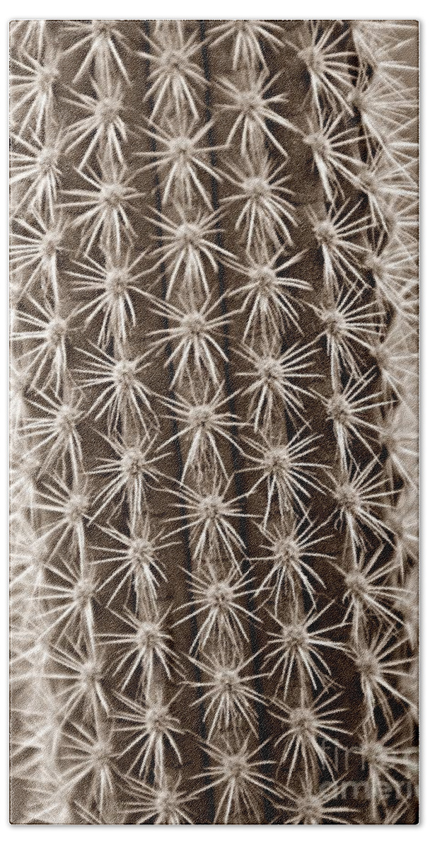 Cactus Bath Towel featuring the photograph Cactus 19 Sepia by Cassie Marie Photography