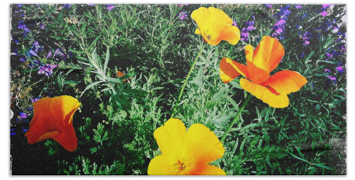 California Poppy Hand Towel featuring the photograph California Poppy by Nina Prommer