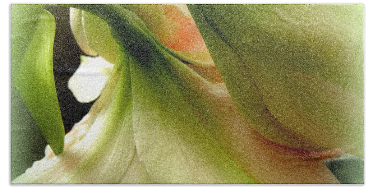 Amaryllis Hand Towel featuring the photograph Calming Exotic by Kim Galluzzo