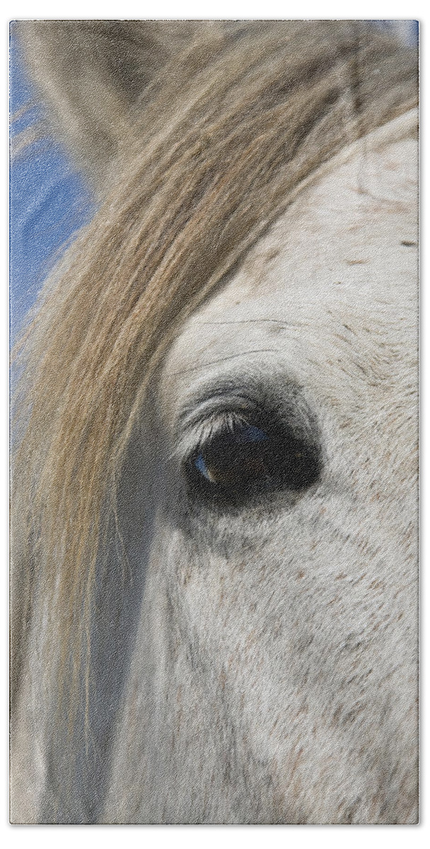 Mp Bath Towel featuring the photograph Camargue Horse Equus Caballus Eye by Konrad Wothe