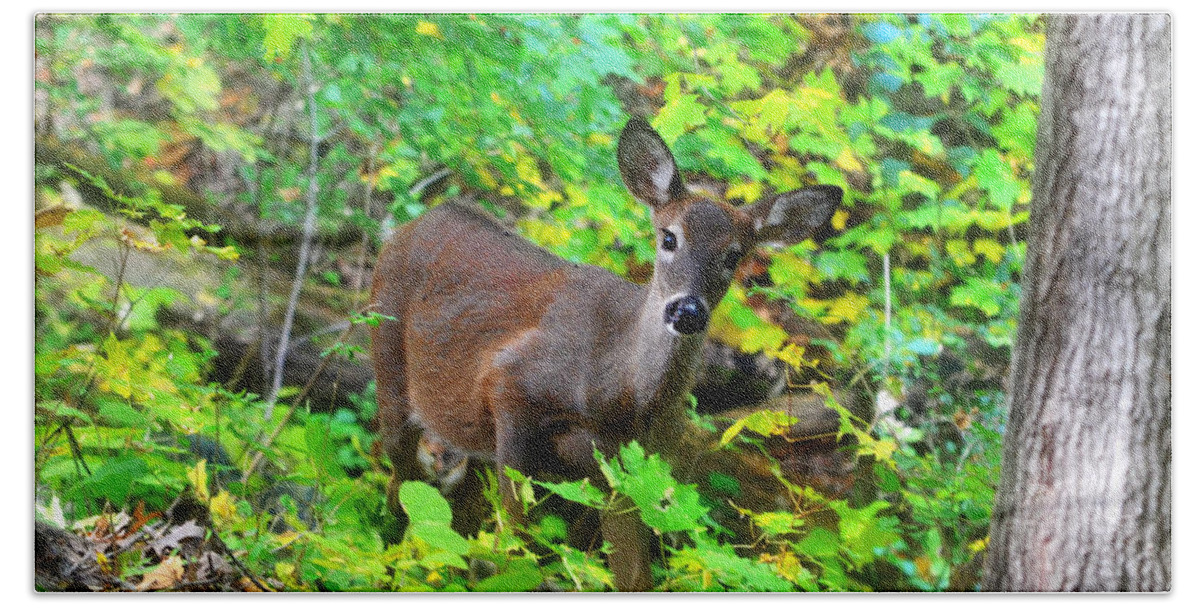 Landscape Bath Towel featuring the photograph Can I help You My Deer by Peggy Franz