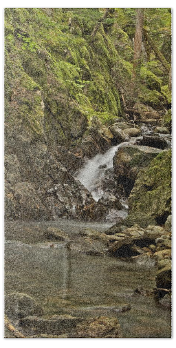 Cascades Bath Towel featuring the photograph Cascades Happy Trail 9128 by Michael Peychich