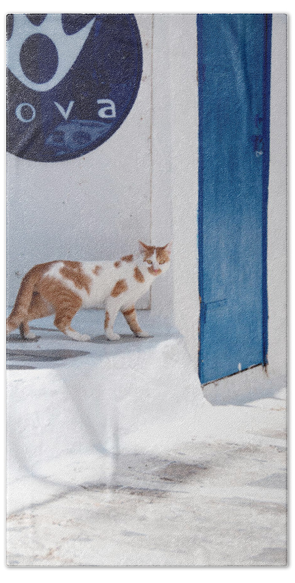 Cat Hand Towel featuring the photograph Cat in Mykonos by Laura Melis